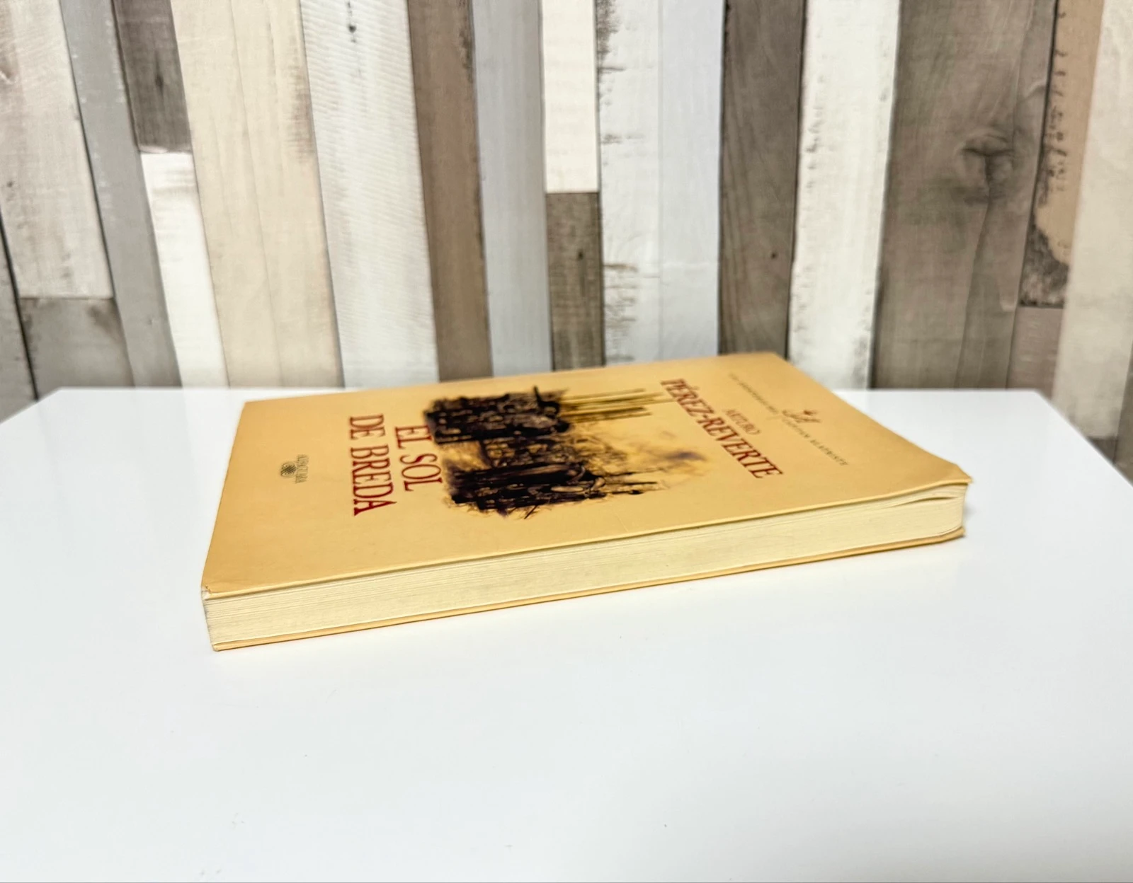 Libro El Sol de Breda – photo 4
